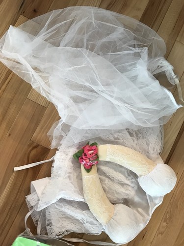 Medium Size Dog Bride Costume