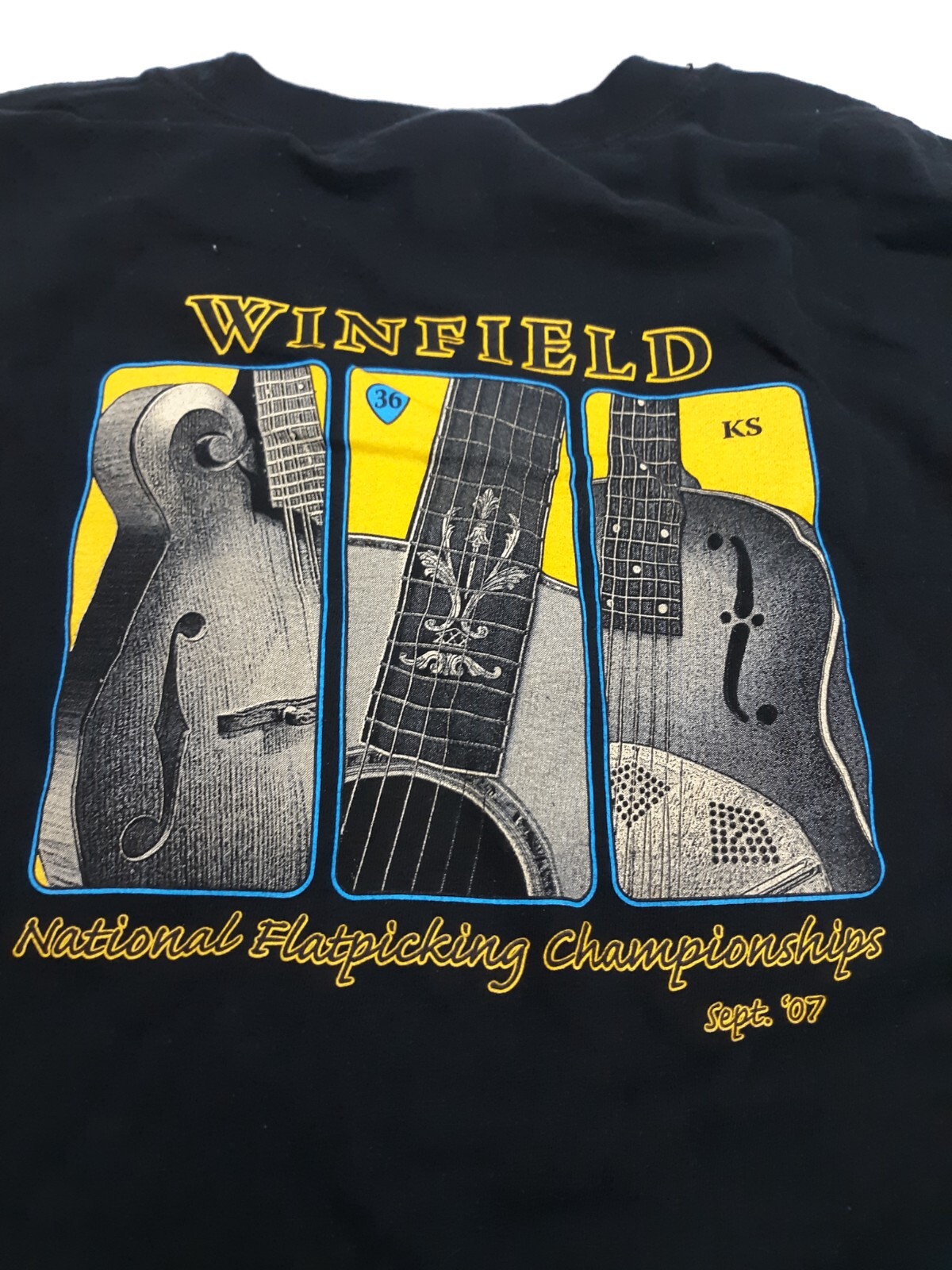 ミュージック Winfield Winners: Flatpicking Champions National Flatpick Guitar Championship 2023 | Walnut Valley