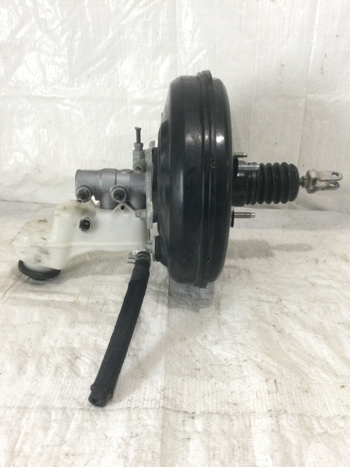 110本 2412H-1 HORN DRIVER - JBL - JBL Audio Spare Parts - 339013-001X