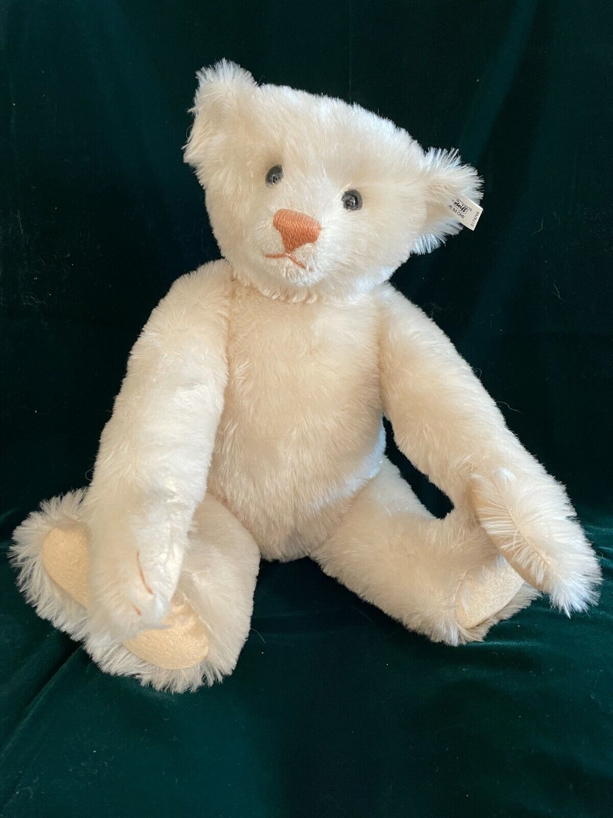 Steiff Muzzle Bear 1908 Limited Edition White Replica EAN Steiff Muzzle Bear 1908 Limited Edition White Replica EAN
