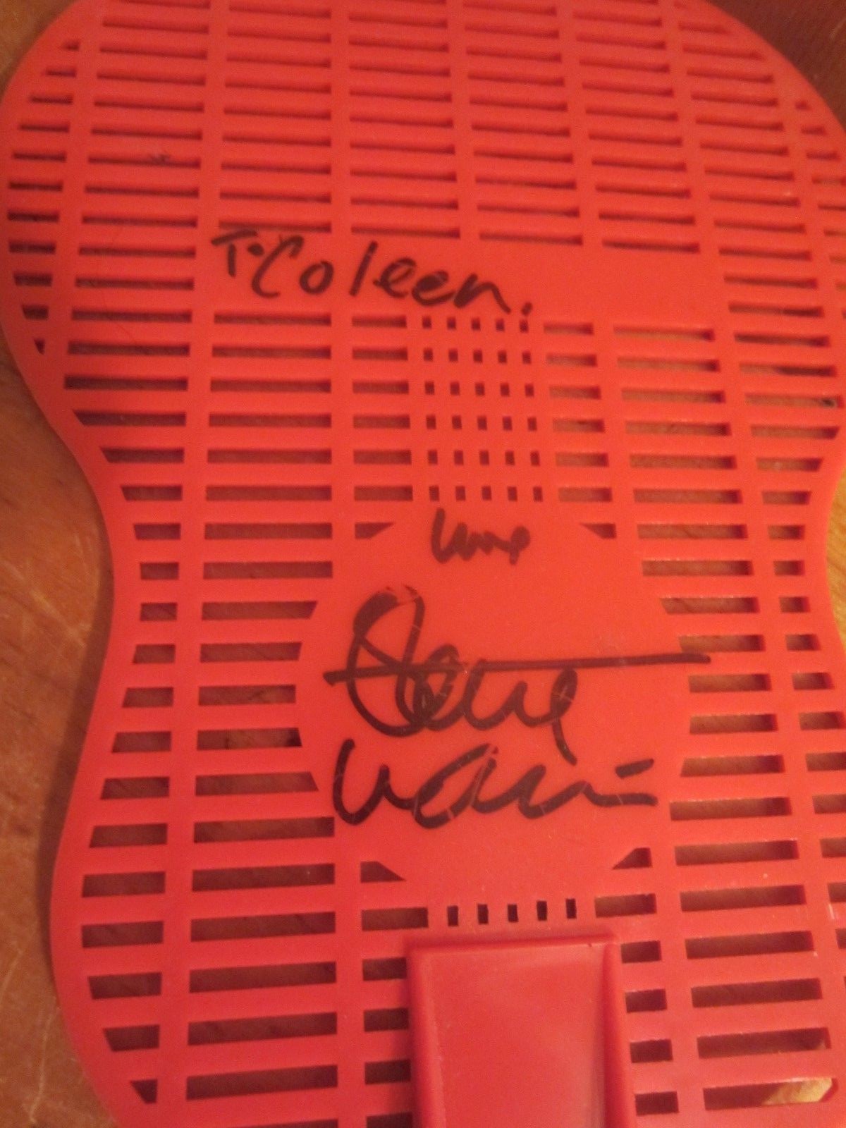 Steve Wariner Signed Autograph Country Music Hall of Fame Guitar Fly Swatter Pin