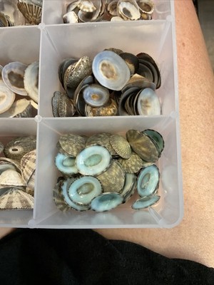 Fotos del artículo de un comprador verificado