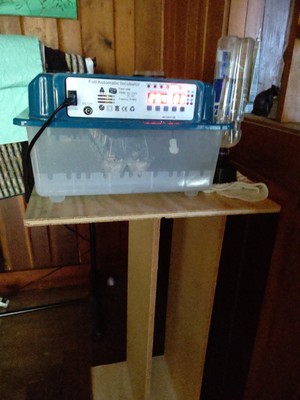 Foto dell'oggetto di un acquirente verificato