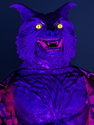 Artikelfoto(s) von einem verifizierten Käufer