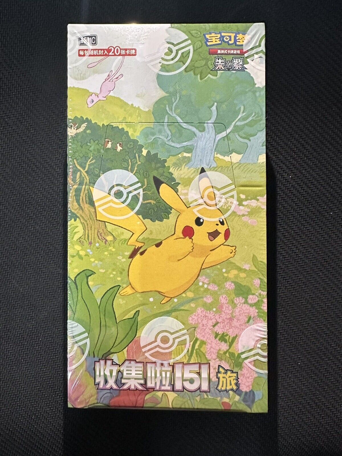 ファンシーパック　ポケモン付録　B5 $_57.JPG