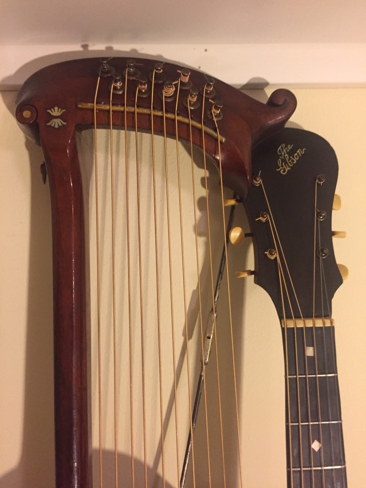 1906 GIBSON Style U Harp Guitar Spruce top and all Walnut - very RARE
