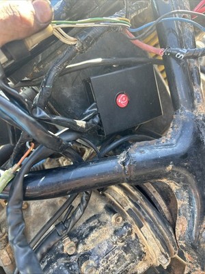Foto dell'oggetto di un acquirente verificato