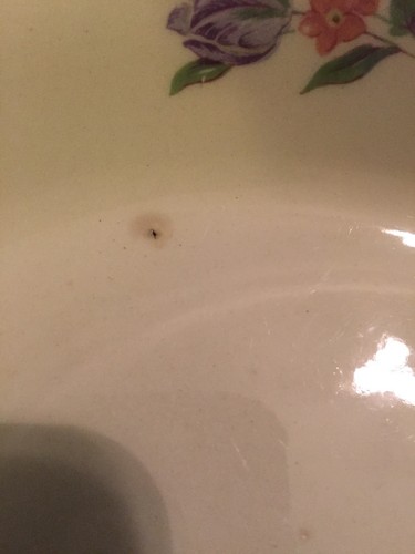 Homer Laughlin PRISCILLA Roses Pie Plate Ovenware Kitchen Kraft Oven USA Pottery