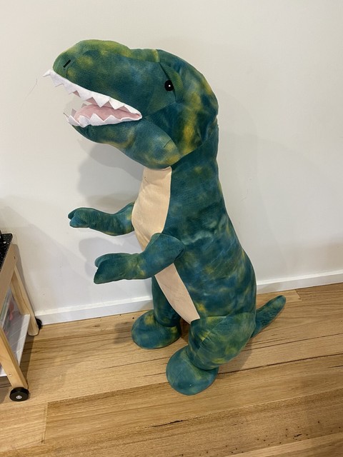 crocodile dentist kmart