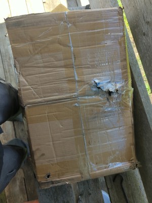 Item photo(s) from verified buyer