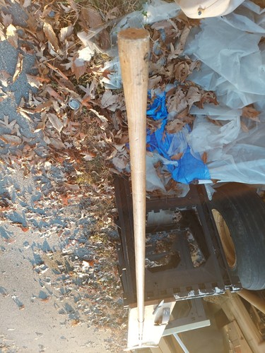 Bridel Cutting Halberd