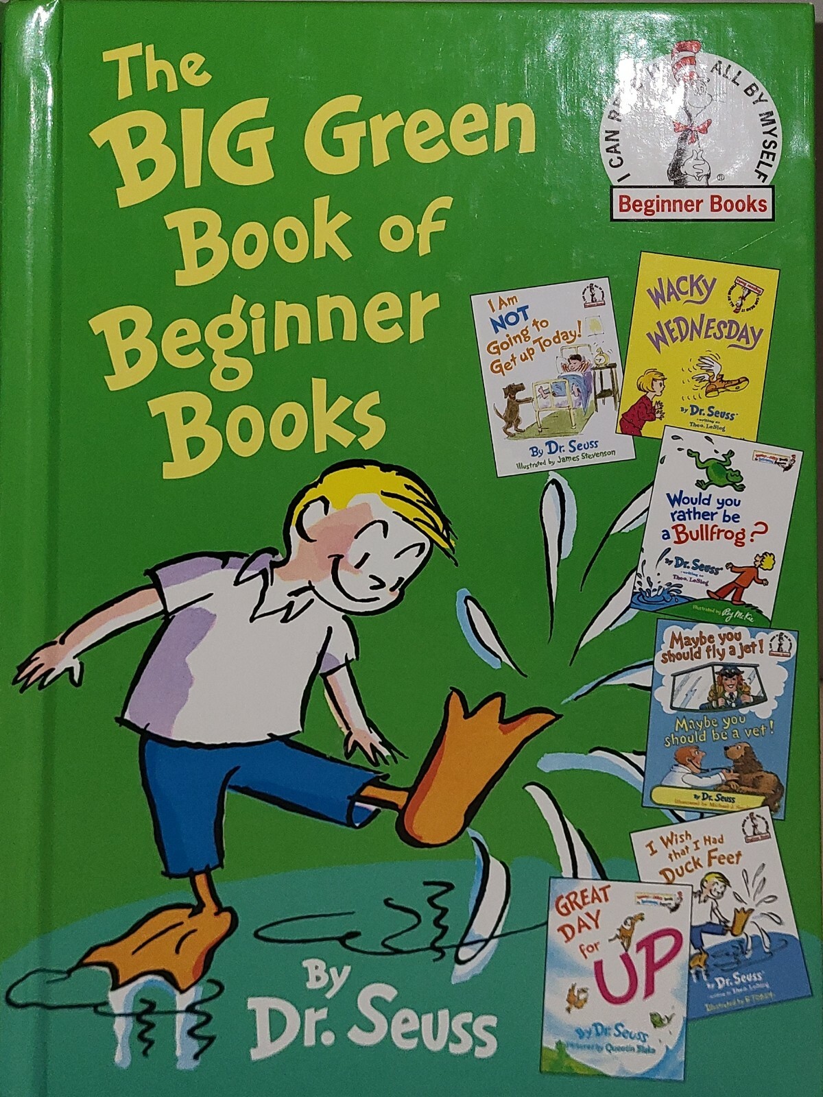 Lot of 8 Dr. Seuss Big Book of Beginner Books - Hardcover | eBay