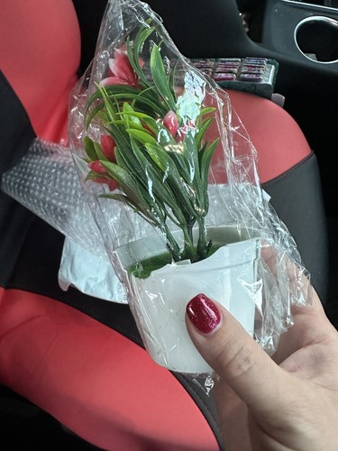 Artikelfoto(s) von einem verifizierten Käufer