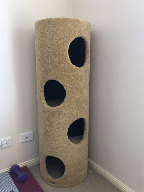 bono fido cat scratcher