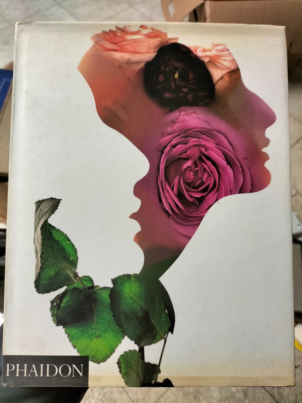 PHAIDON the impossible image 英語 The Impossible Image Fashion Photography In The Digital Age