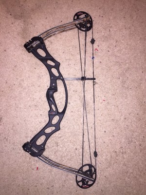 Hoyt bow serial number lookup