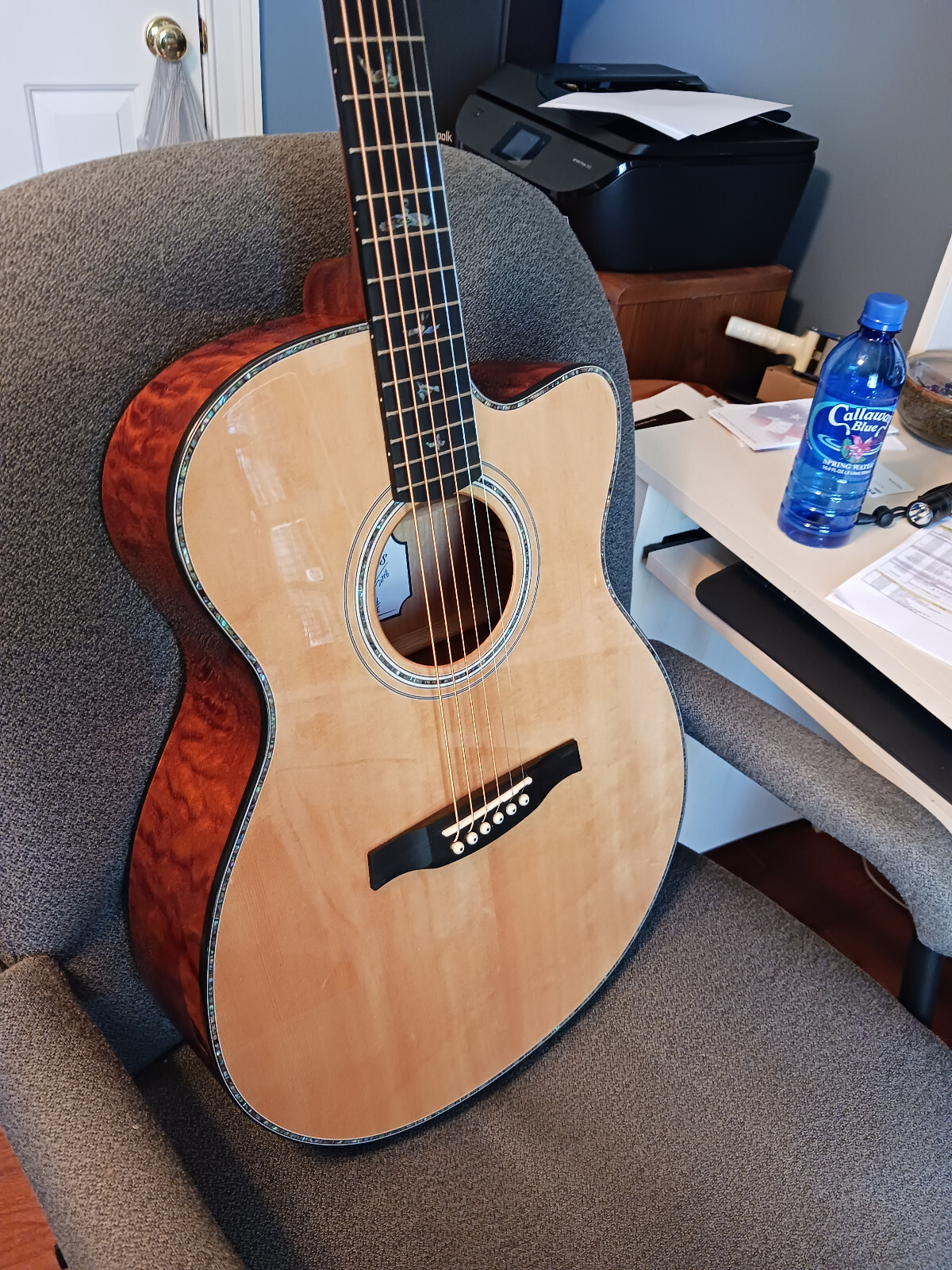 PRS 】ポールリードスミス SE Angelus A55EBG エレアコ