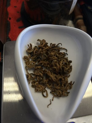 Artikelfoto(s) von einem verifizierten Käufer