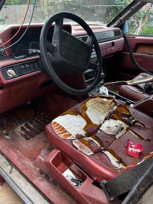 image 2 of interior