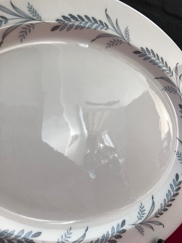Paragon Blue Grass Oval Carving Serving Platter Plate 13.8" x 11.1" Wide