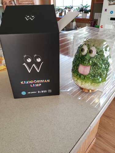 Dr Woo X Objective X Medicom Toy X Kakigori Man Lamp | eBay