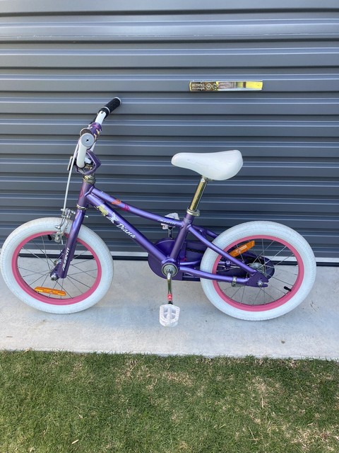 avanti 16 inch bike