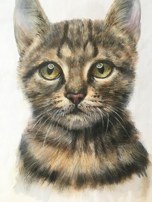 Copic Sketch, Alcohol markers, 12pc set Warm Gray (New Ver.)