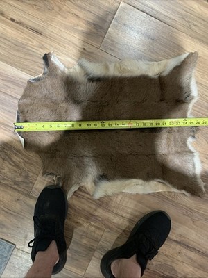 Foto dell'oggetto di un acquirente verificato