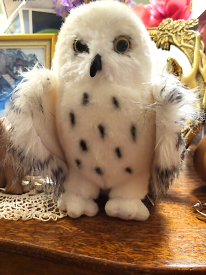 Douglas 2024 snowy owl