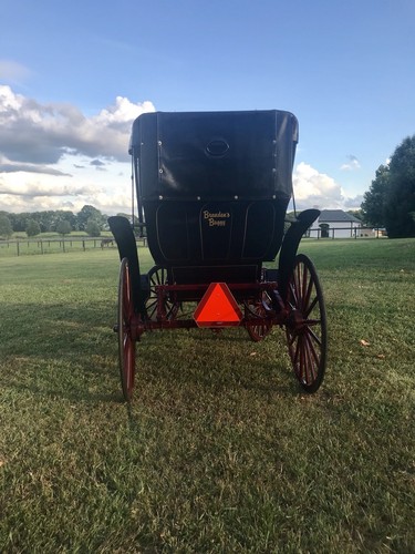 Horse Drawn Carriage (Surrey)