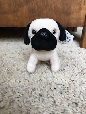 Birthday Express Pug Mini Plush Beanie
