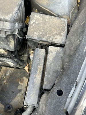 Picture 2