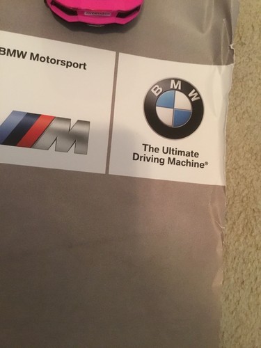 2015 BMW Team RLL Z4 GTLM Cars #24 &25 Winners Poster IMSA 36”x24”