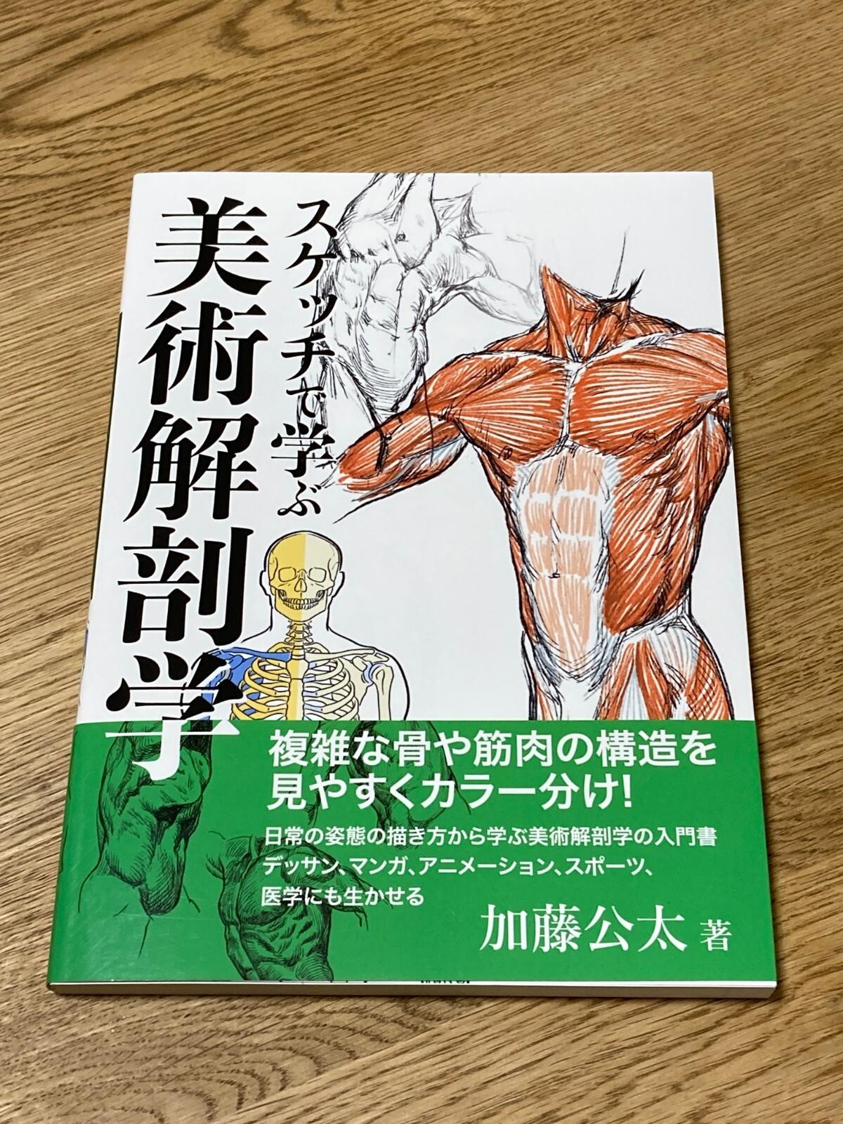 Drawing a Person Art Anatomy Learned from Sketches Draw Book