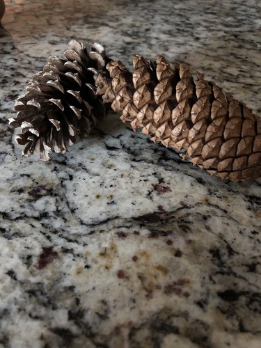 Craft / Decor Natural  Pinecones - Box of 25; Sizes Vary From 3”-6”
