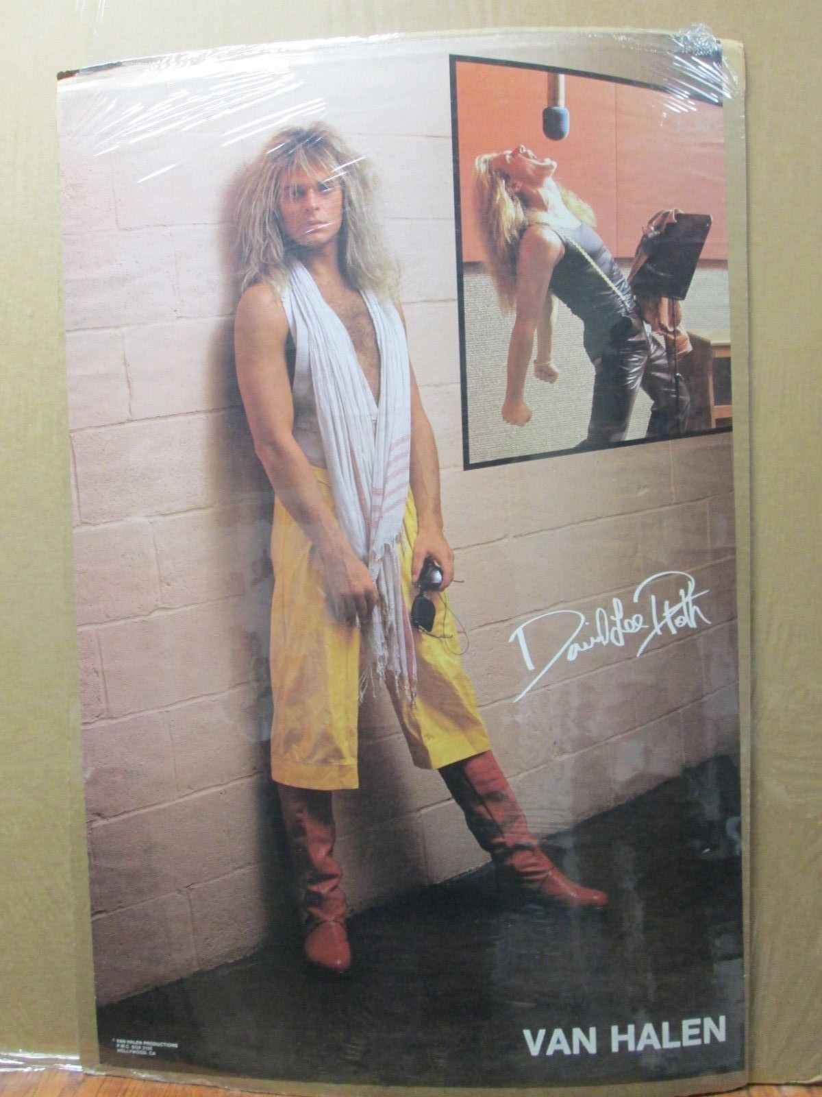 デイヴィトリーロスポスター デイヴィトリーロスポスター Vintage Original 1980s David lee