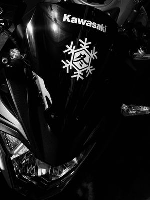 NEW!! SNOWFLAKE WINTER TEST DECALS / STICKERS FOR ZX-10RR ZX10R X2