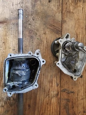 Artikelfoto(s) von einem verifizierten Käufer