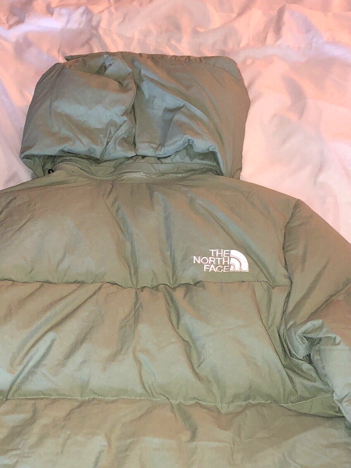 Pre-owned The North Face Nwt"s  Women's Glacier Basin Parka Misty Sage Medium $340