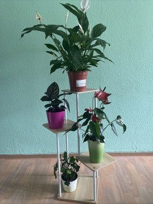 Objectfoto('s) van geverifieerde koper