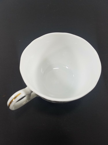 Andrea By Sadek Biltmore Estate Vanderbilt Collection Tea Cup and Saucer