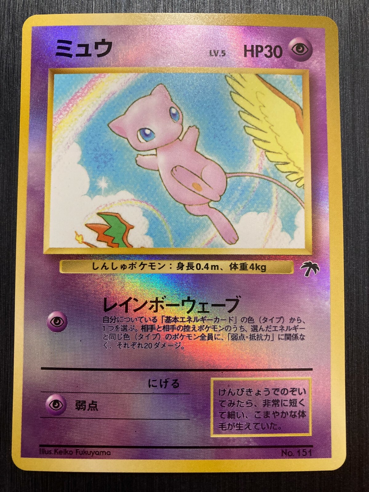 英語版　Tropical  $_57.JPG?set_id=8800005007