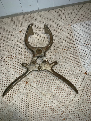 Castration Pliers Goat Sheep Pig Castrating Veterinary Tool Burdizzo  Ital