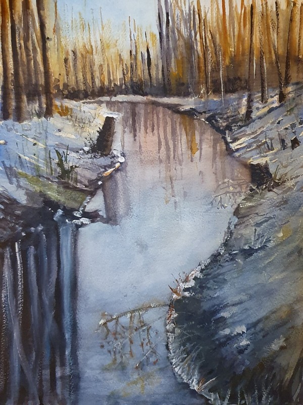 Bild - Aquarell - Watercolours - Original - Winter -  BÃ¤Ume- 30 X 40 Cm