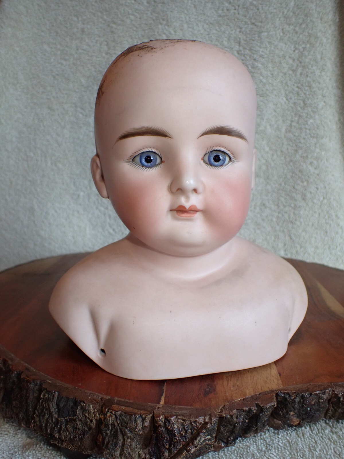 Antique German ABG 1234 Bisque Doll Head 6 3/4