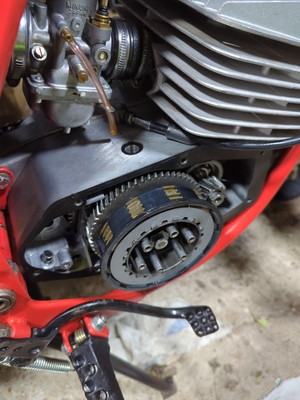 Artikelfoto(s) von einem verifizierten Käufer