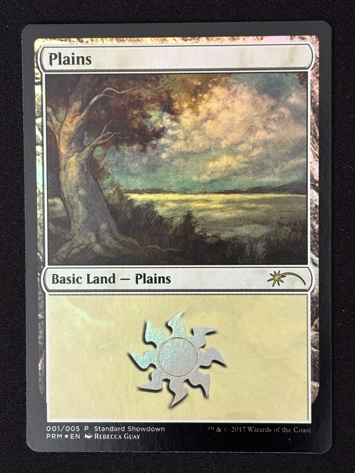 MTG Rebecca Guay nonFoil Edition 4個セット MTG Rebecca Guay nonFoil Edition 4個セット