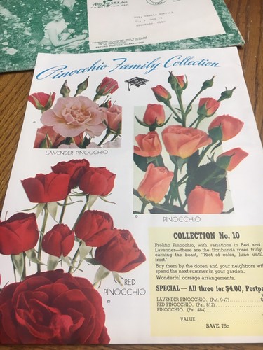Arp Roses Tyler Texas Garden Grandeur 1950 -1951 Catalog Of Roses Envelope