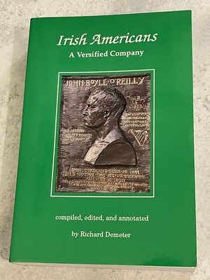 Irish America : The Historical Travel Guide by Richard Demeter (1996 Paperback)