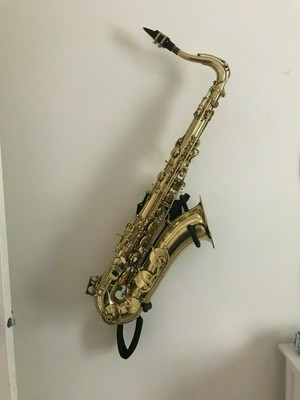 2439 Bass Clarinet Tenor Sax Reed Guard Reed Case Conn Selmer Inc